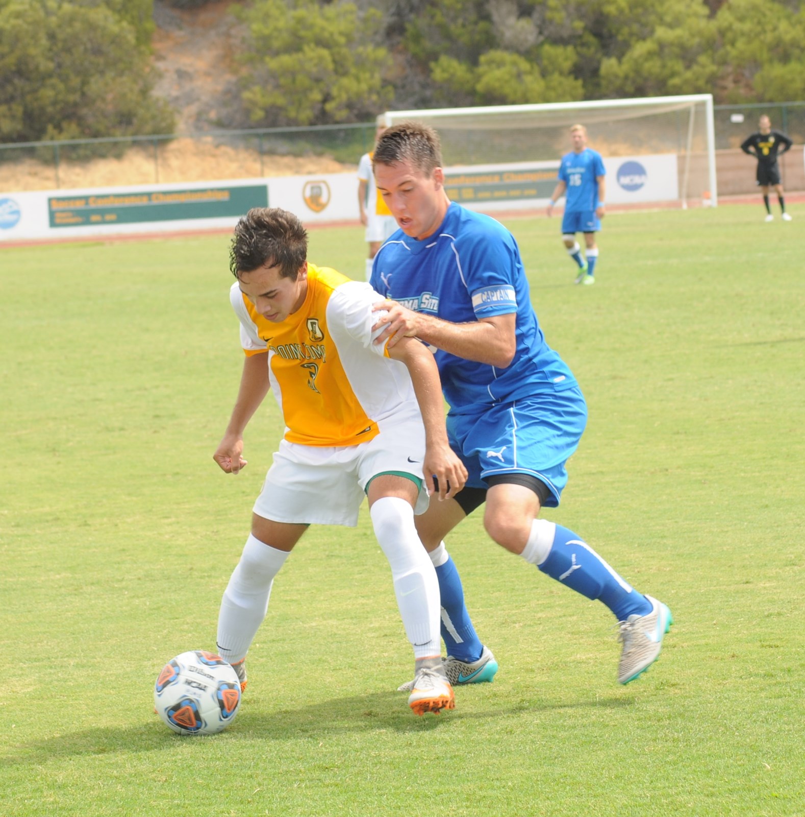 Christopher Tellez Men's Soccer PLNU Athletics